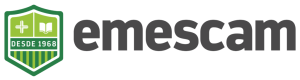 Logotipo-Atualizado-EMESCAM-horizontal-e1614090732277-1024x274